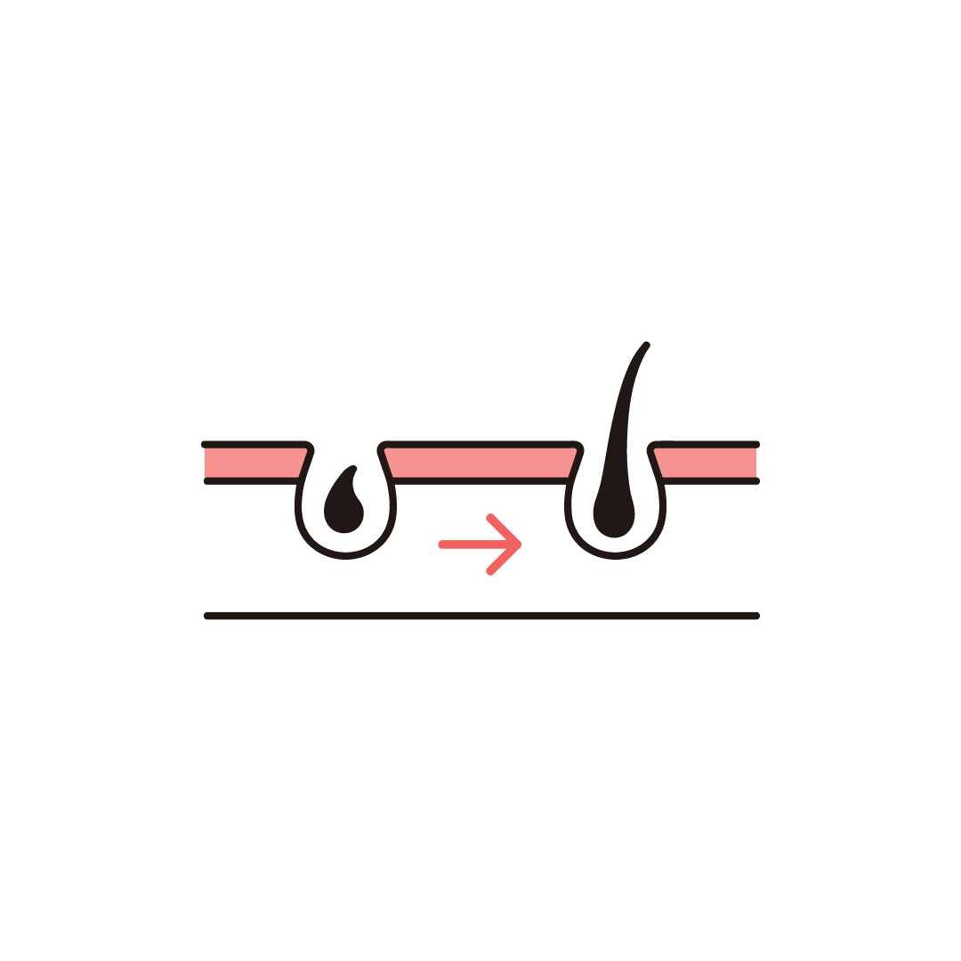 髪の成長