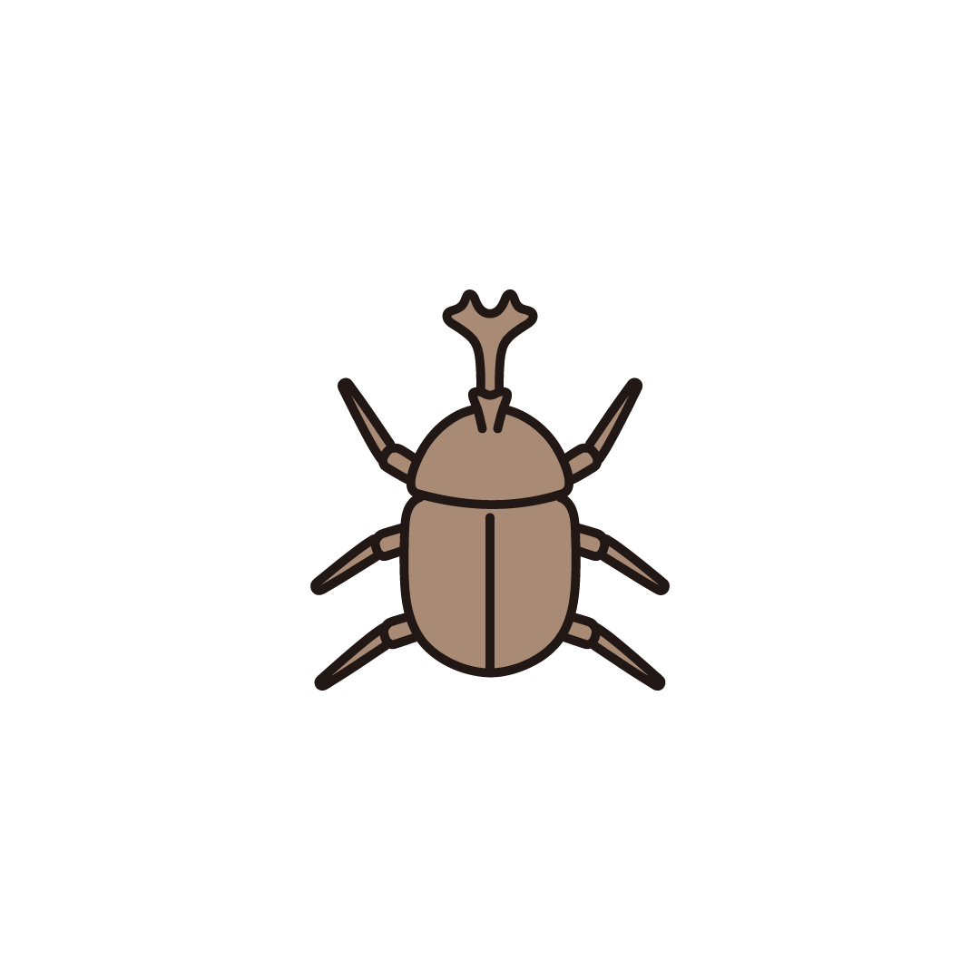 カブトムシ