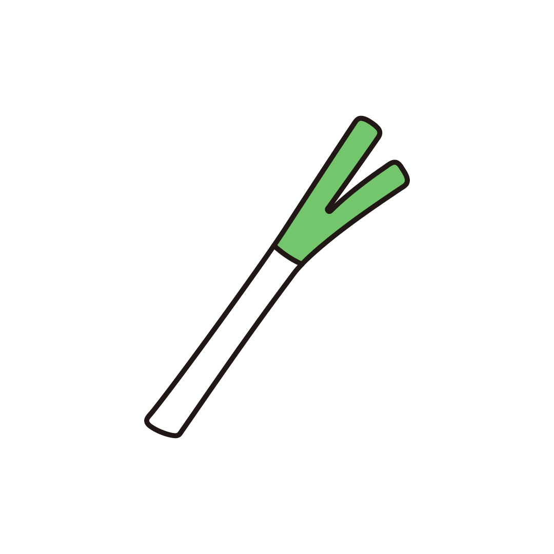 長ねぎ