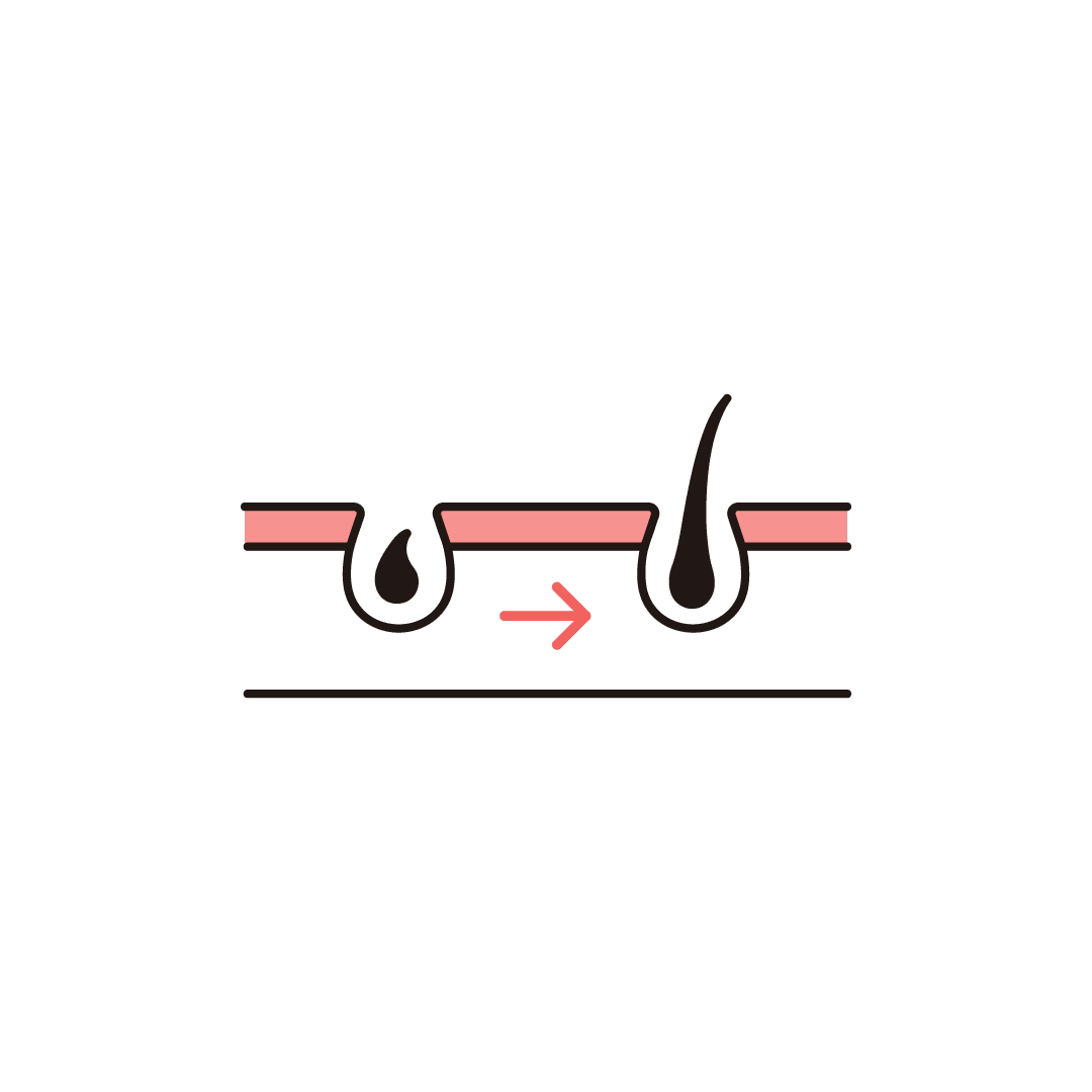 髪の成長