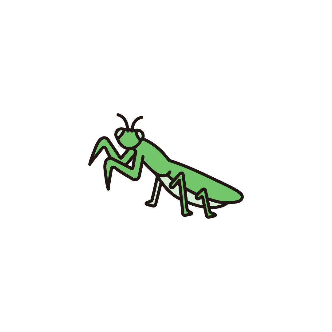 カマキリ