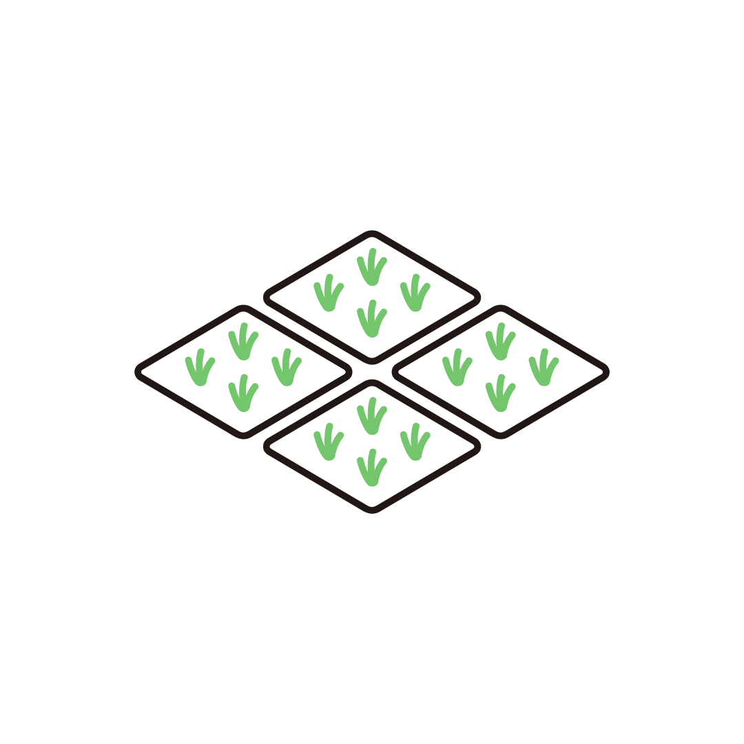 田んぼ（アイソメ）